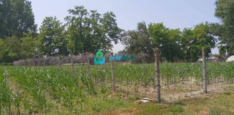 Krásny veľký pozemok v tichej časti obce Ňárad - Na obrázku sú pozemky - bývanie so zelenou vegetáciou a oplotením na ulici neuvedené.