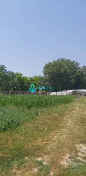 Krásny veľký pozemok v tichej časti obce Ňárad - Záhrada na ulici neuvedené s pozemkom vhodným na bývanie a pestovanie.