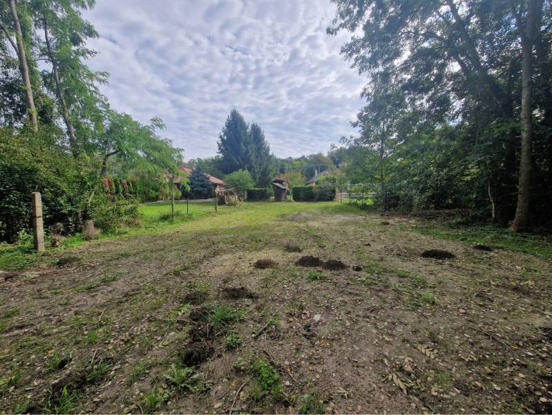 Na predaj rekreačný pozemok pri Dunaji - Gabčíkovo - Pozemok na bývanie v Gabčíkove, obklopený stromami a vidieckymi domami.