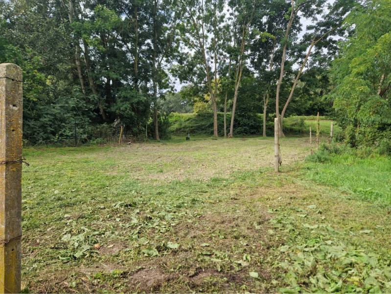 Na predaj rekreačný pozemok pri Dunaji - Gabčíkovo - Oplotený pozemok v Gabčíkove, vhodný na bývanie, s trávnatou plochou a stromami.