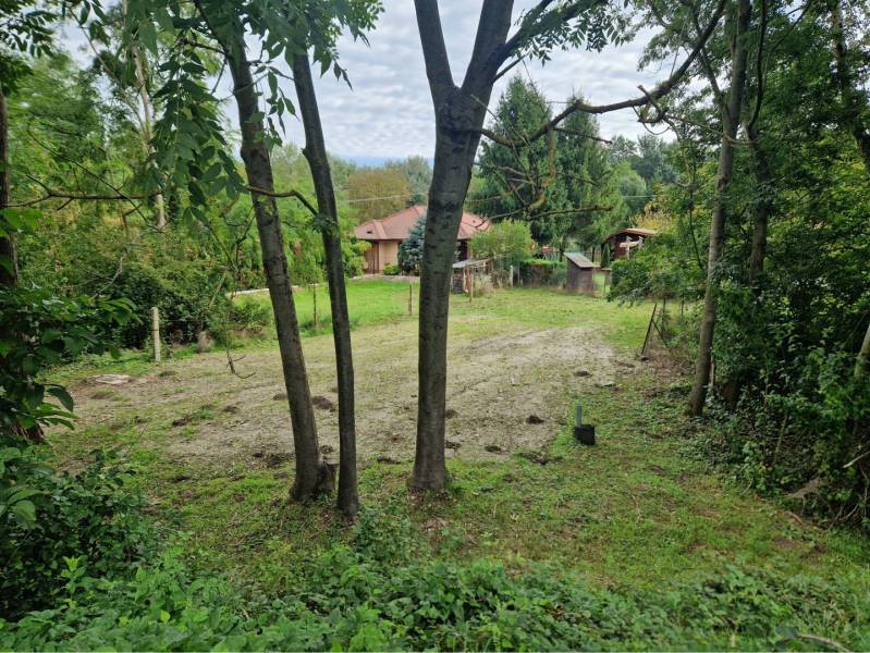 Na predaj rekreačný pozemok pri Dunaji - Gabčíkovo - Zeleň a dom obklopený stromami v Gabčíkove, vhodné na pozemky - bývanie.