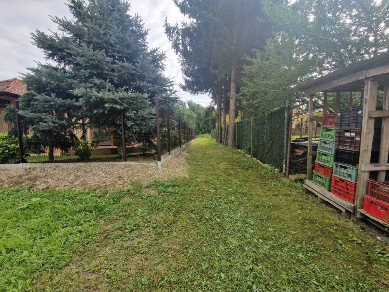 Na predaj rekreačný pozemok pri Dunaji - Gabčíkovo - Pozemky - bývanie v Gabčíkove, zelený trávnik pri plote a stromy na okraji pozemku.