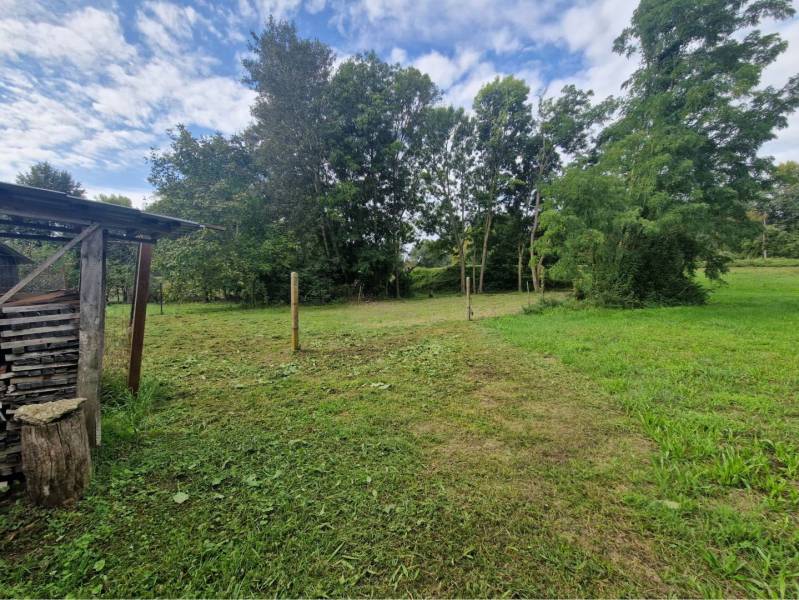 Na predaj rekreačný pozemok pri Dunaji - Gabčíkovo - Zeleň a stromy na pozemku v Gabčíkove vhodnom na bývanie pod modrou oblohou.