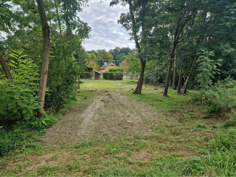 Na predaj rekreačný pozemok pri Dunaji - Gabčíkovo - Pozemky - bývanie v Gabčíkove s trávnatým pozemkom a stromami v prírodnom prostredí.