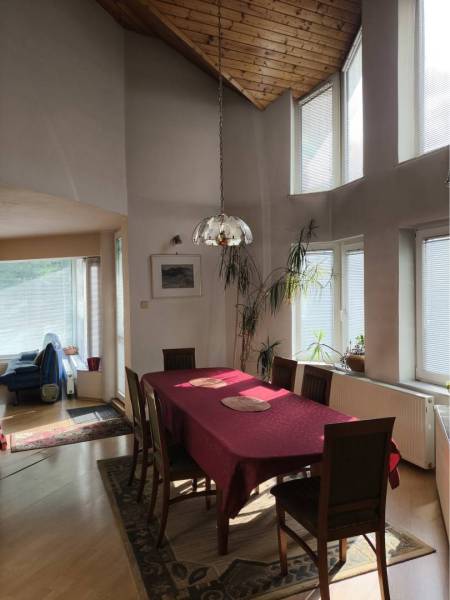 EXKLUZÍVNE LEN U NÁS! - Veľký rodinný dom - Dunajská Streda - Jedáleň v rodinnom dome s presklenými stenami, podlahou s dreveným dekorom a izbovými rastlinami.