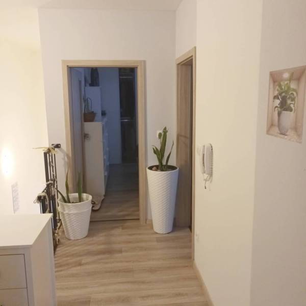 ☎️0904/842-727 Štýlové bývanie - 3izbový byt – Horný Bar - Interiér 3-izbového bytu s podlahou s dreveným dekorom a izbovými rastlinami.