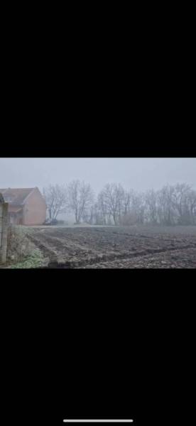 Pozemok-Bohelov - Hmlistá krajina so zvláštnymi nehnuteľnosťami a políčkom v Boheľove.