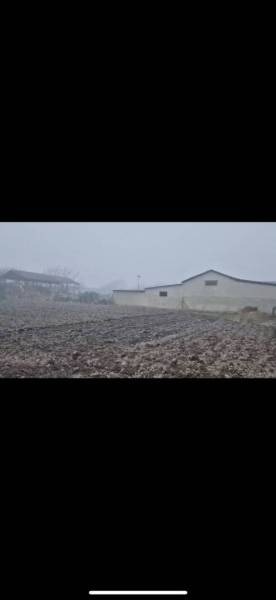 Pozemok-Bohelov - Hmla zahalila vidiecke stavby v Boheľove, časť Zvláštnych nehnuteľností a orná pôda.