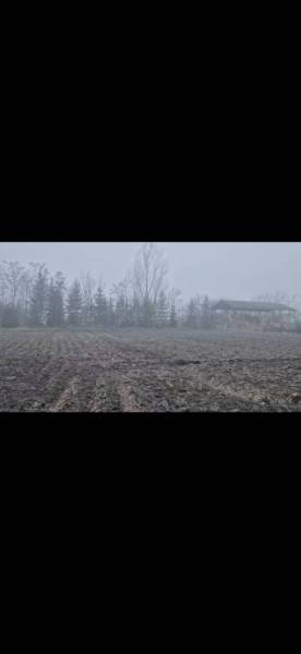 Pozemok-Bohelov - Hmlistá krajina v Boheľove s oranicou, stromami a budovou ako súčasť zvláštnych nehnuteľností.