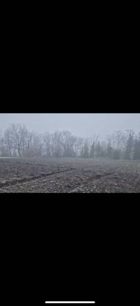 Pozemok-Bohelov - Hmlistá panoráma Zvláštnych nehnuteľností v Boheľove s rozoraným poľom a stromami na obzore.