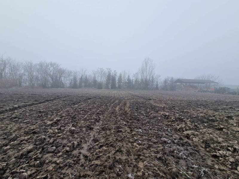 Pozemok-Bohelov - Hmla nad čerstvo zoraným poľom s prístreškom v Boheľove, zvláštna nehnuteľnosť.