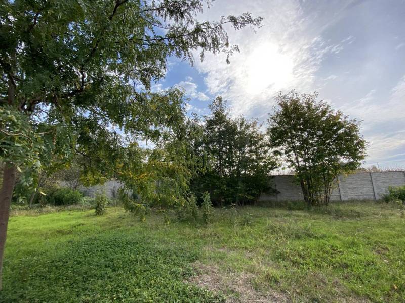 ☎️ 0918197701- Na predaj stavebný pozemok na stavbu RD v Gabčíkove / 9 - Pozemky - bývanie v Gabčíkove s trávnikom, stromami a betónovým plotom.