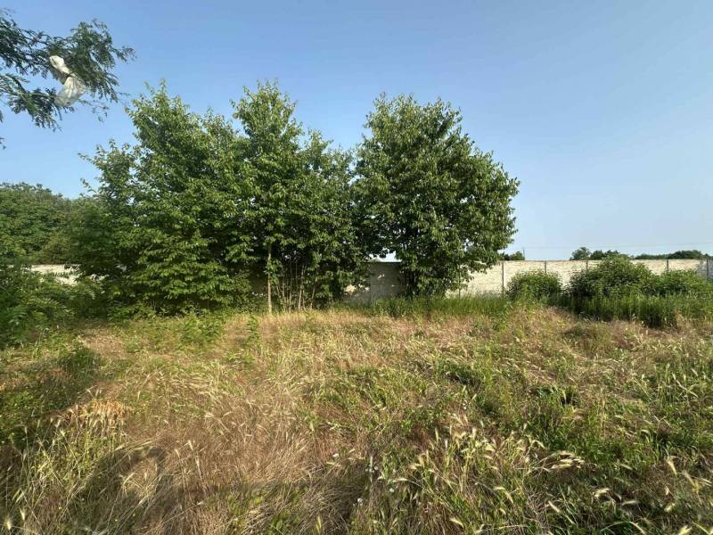 ☎️ 0918197701- Na predaj stavebný pozemok na stavbu RD v Gabčíkove / 9 - Pozemky na bývanie v Gabčíkove, s trávnatými plochami a stromami, obklopené zeleňou.