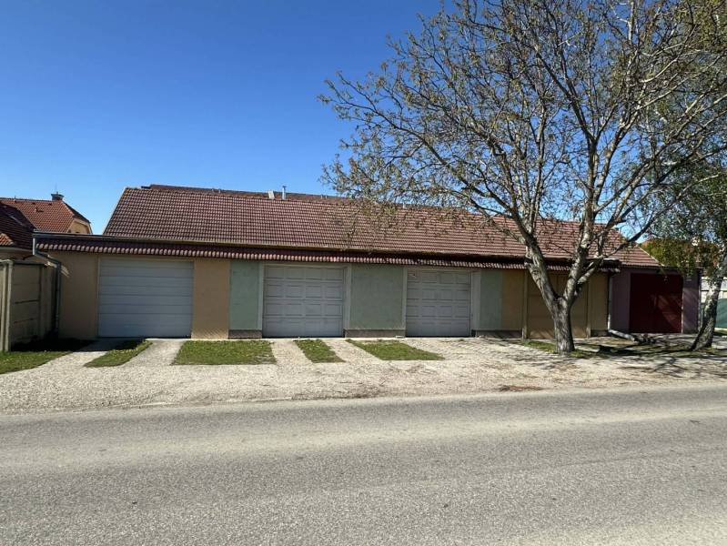 ☎️ 0918197701-Na predaj 5 izbový poschodový rodinný dom s 2 garážou v  - Radová garáž s plechovými bránami, stromom a betónovým prístupovým chodníkom v Dunajskej Strede.