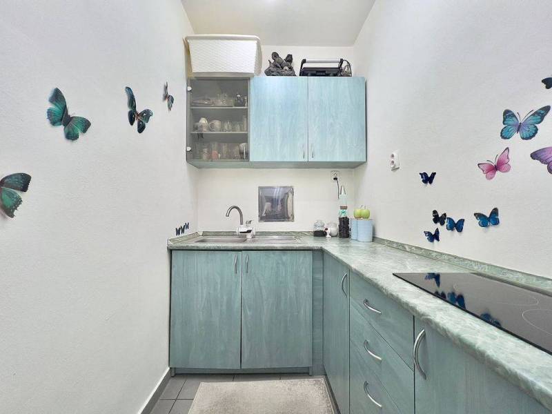☎️ 0918197701- PREDAJ - Nebytových priestorov Dunajská Streda - Kuchyňa s motívom motýľov, modré skrinky a kuchynská linka s keramickou varnou doskou.