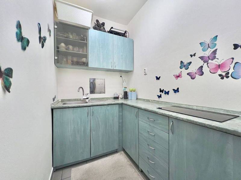 ☎️ 0918197701- PREDAJ - Nebytových priestorov Dunajská Streda - Kuchyňa s pastelovými skrinkami a dekoráciami motýľov, ideálna pre obchodné priestory.