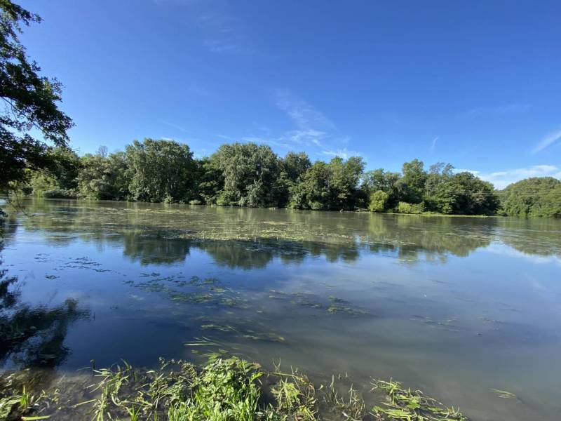 ☎️ 0918197701-Predám stavebný pozemok v obci Tomášikovo - Jazero obklopené zeleňou v Tomášikove ideálne na pozemky - bývanie.