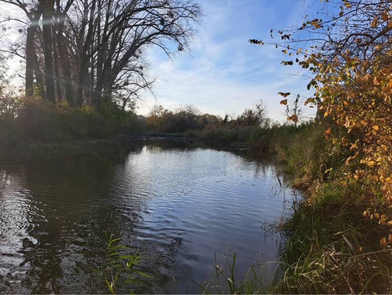 ☎️ 0918197701-Predám stavebný pozemok v obci Kráľov Brod - Znížená cen - Pokojná vodná plocha obklopená stromami a kríkmi v Kráľovom Brode, vhodné na Pozemky - bývanie.