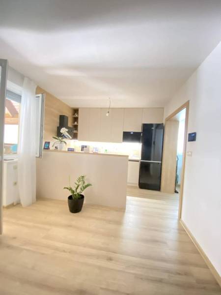☎️ 0918/197 701 Predám priestranný  3 izbový  byt s veľkou terasou a m - Svetlá kuchyňa v 3-izbovom byte s podlahou s dreveným dekorom a izbovou rastlinou.