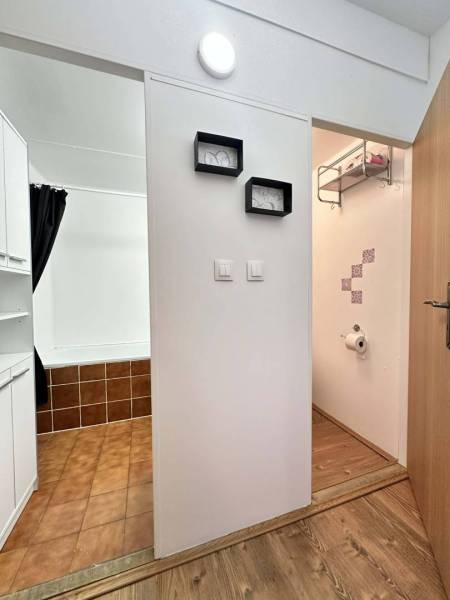 ☎️  0918/197 701  Na prenájom 1 izbový byt s balkónom a pivnicou v mes - V 1-izbovom byte je kúpeľňa s dlažbou a podlahou s dreveným dekorom.