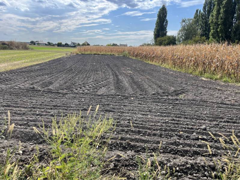 ZNÍŽENÁ CENA! Stavebný pozemok o rozlohe 557 m2 v Holiciach! - Orná pôda v Holiciach, obklopená kukuričným poľom. Využitie na pozemky - bývanie.