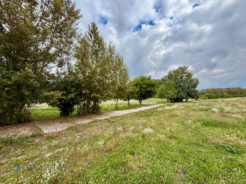 NA PREDAJ | investičný pozemok | Rusovce | výborná poloha - Developerské pozemky v Bratislave - Rusovce na Pri Pieskovom Hone s lúkou a stromami.