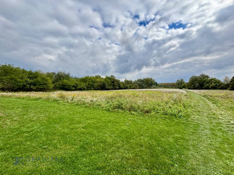 NA PREDAJ | investičný developerský pozemok | Rusovce |  - Developerské pozemky v Bratislave - Rusovciach na ulici Pri Pieskovom Hone, trávnatá plocha.