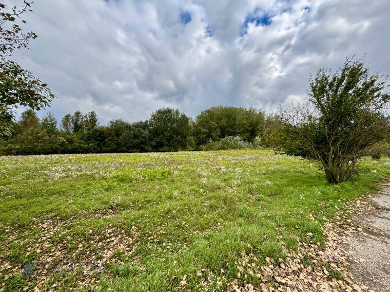 NA PREDAJ | investičný developerský pozemok | Rusovce |  - Zelený trávnatý pozemok obklopený stromami v lokalite Bratislava - Rusovce, Pri Pieskovom Hone.