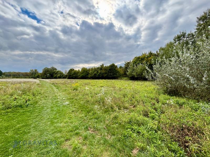 NA PREDAJ | investičný developerský pozemok | Rusovce |  - Zeleň na developerských pozemkoch v Bratislave - Rusovciach, Pri Pieskovom Hone, s chodníkom.