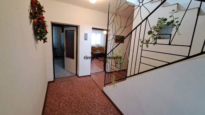 NA PREDAJ 6 izbový rodinný dom v obci Hrušovany  - Chodba s kobercovou podlahou, schodisko s rastlinami, výhľad do obývačky rodinného domu.