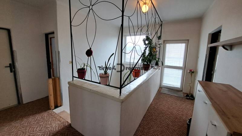 NA PREDAJ 6 izbový rodinný dom v obci Hrušovany  - Chodba v rodinnom dome s kvetmi na zábradlí a svetlom.