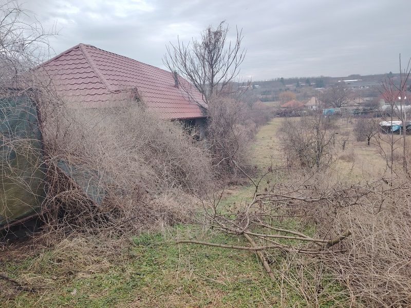 RK Dobré reality predáva stavebný pozemok v obci Dulovce - Pozemok v Dulovciach s domom a hustým porastom, ideálne pre rezidenčné bývanie.
