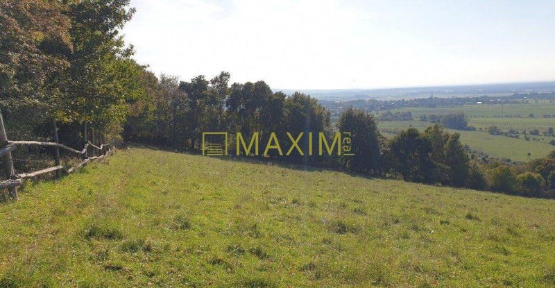 Slnečný takmer hektárový pozemok (9410m²) v k.ú. Kuchyňa s nádherným p - Rozsiahla lúka obklopená lesmi na rekreačných pozemkoch v Kuchyni, ulici Kuchyňa.
