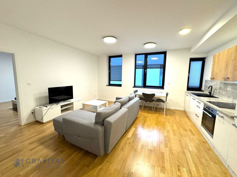 Medicínske centrum alebo budova s 8 apartmánmi - Obývačka s kuchyňou, sivá sedačka, TV, jedálenský kút a kuchynská linka.