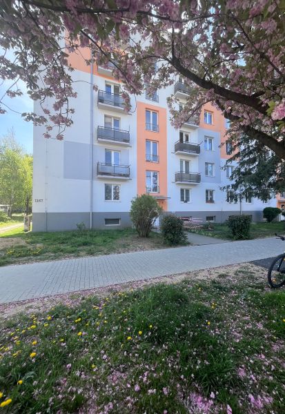 NA PREDAJ! 3i byt s 2 balkónmi - pôvodný stav, 69 m2, 28. októbra, TN - Budova na ulici 28. októbra v Trenčíne s rozkvitnutými čerešňovými stromami.