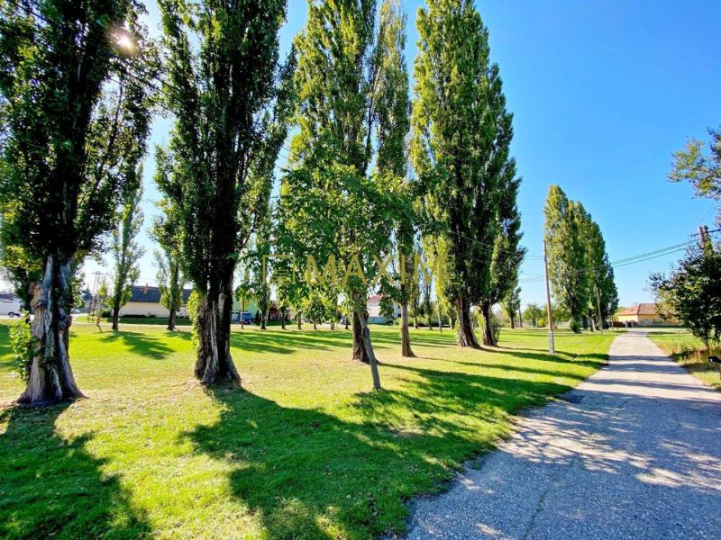 Exkluzívna šanca! Stavebný pozemok vo Vlčanoch, len na skok od Šale. - Zeleň s vysokými stromami a cestou pri rodinných domoch vo Vlčanoch.