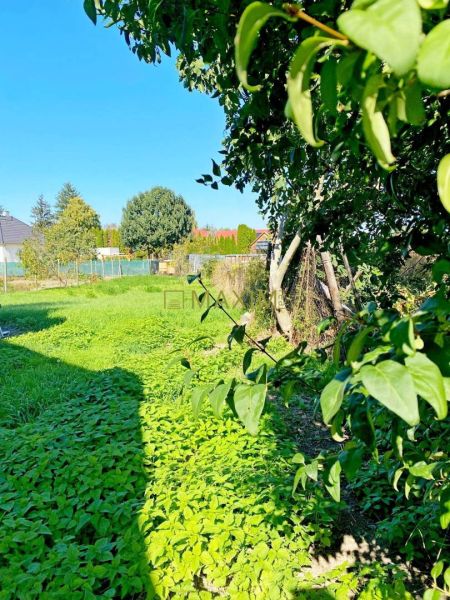 Exkluzívna šanca! Stavebný pozemok vo Vlčanoch, len na skok od Šale. - Záhrada rodinného domu vo Vlčanoch s bujnou zeleňou a modrou oblohou.