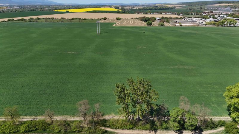 Trhovište – 5.894 m2 POZEMOK na mobilný dom so stavebným potenciálom  - Zelené Rekreačné pozemky pri Trhovišti s výhľadom na dedinu a žlté polia.