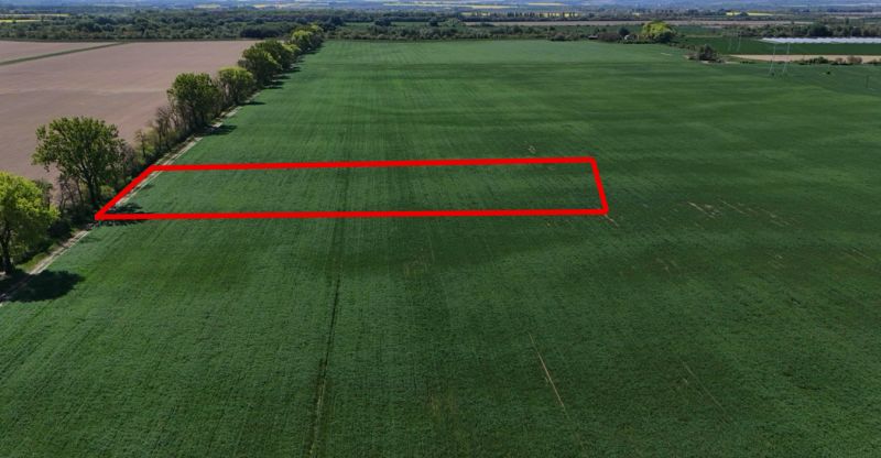 Trhovište – 5.894 m2 POZEMOK na mobilný dom so stavebným potenciálom  - Rekreačné pozemky v Trhovišti s veľkým zeleným poľom a červeným vyznačením.