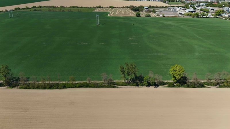 Trhovište – 5.894 m2 POZEMOK na mobilný dom so stavebným potenciálom  - Rekreačné pozemky v Trhovišti s rozľahlými zelenými a hnedými poľami a stromami.