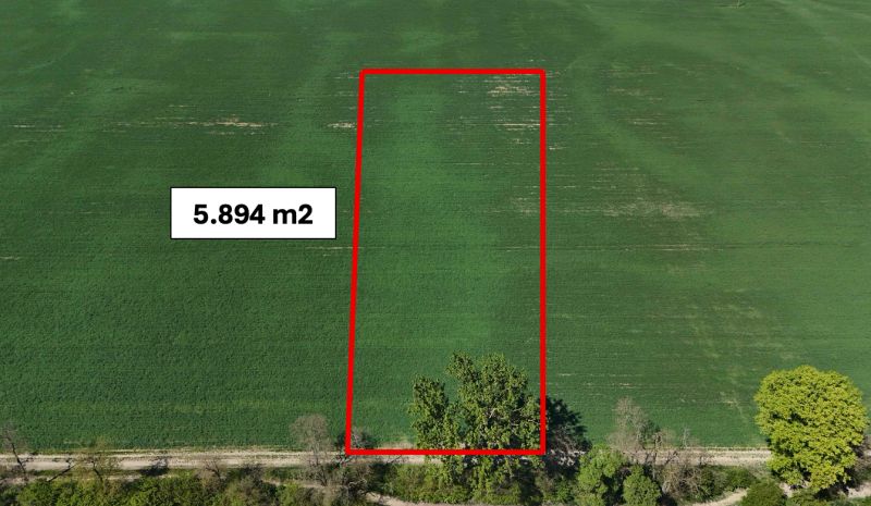 Trhovište – 5.894 m2 POZEMOK na mobilný dom so stavebným potenciálom  - Rekreačné pozemky v Trhovišti, zelená plocha o rozlohe 5.894 m² s cestou.