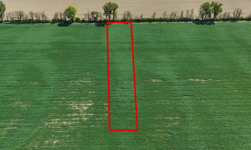 Trhovište – 5.894 m2 POZEMOK na mobilný dom so stavebným potenciálom  - Zeleň rekreačných pozemkov v Trhovišti, ohraničená červeným obdĺžnikom, siahajúca k lesnému porastu.