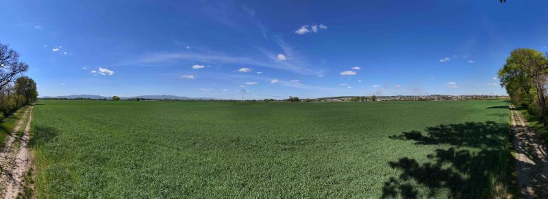 Trhovište – 5.894 m2 POZEMOK na mobilný dom so stavebným potenciálom  - Rozľahlé zelené polia a cesta s výhľadom na rekreačné pozemky v Trhovištiach.