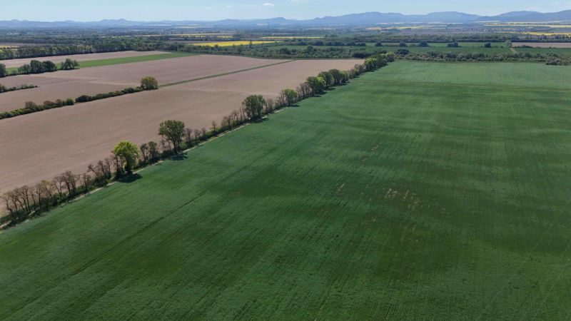Trhovište – 5.894 m2 POZEMOK na mobilný dom so stavebným potenciálom  - Letecký pohľad na poľnohospodárske polia a stromy medzi rekreačnými pozemkami Trhovišťa.