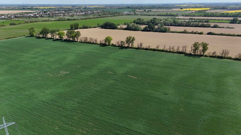 Trhovište – 5.894 m2 POZEMOK na mobilný dom so stavebným potenciálom  - Zeleň na rekreačných pozemkoch v Trhovišti s prírodnou scenériou na pozadí.