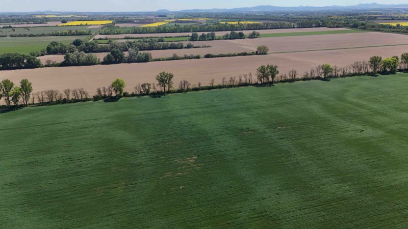 Trhovište – 5.894 m2 POZEMOK na mobilný dom so stavebným potenciálom  - Rozľahlé polia obklopené stromami v Trhovišti, Rekreačné pozemky zasadené do prírody.