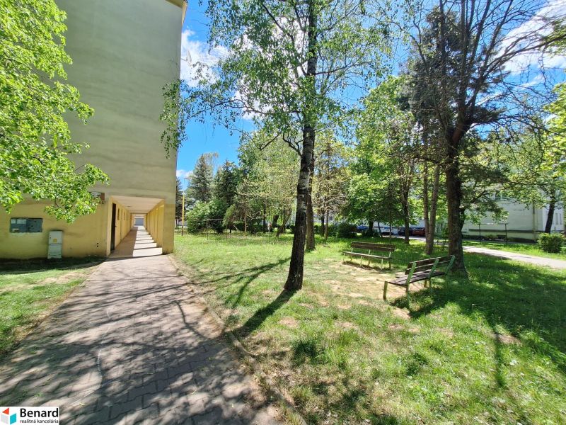 NA PRENÁJOM 1 IZBOVÝ TEHLOVÝ BYT, 34 M2, KOŠICE - ŠACA - Cesta a lavičky obklopené zeleňou pri bytovom dome na Železiarenskej ulici v Šaci.