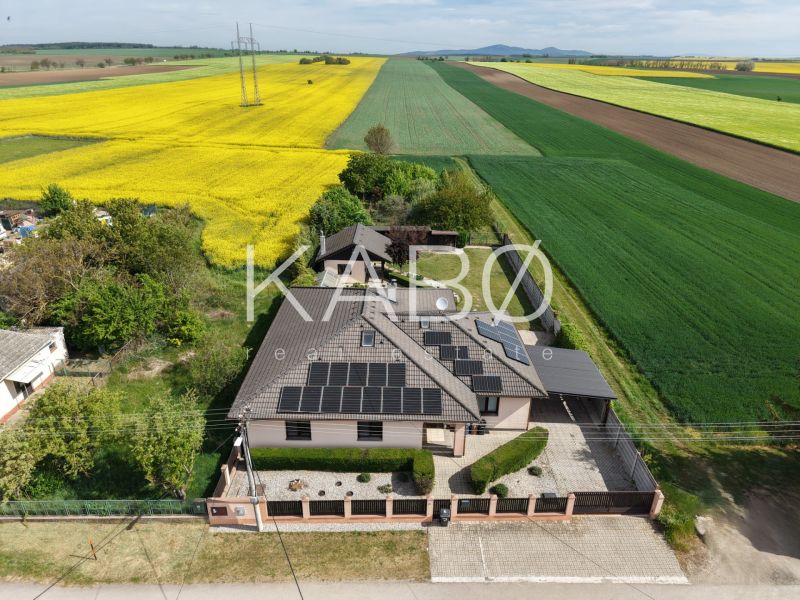 Nadštandardný 5-izbový RD - veľkorysý pozemok - moderné technológie - Rodinný dom na Močenskej ulici v Cabaji-Čápore, obklopený poľom žltého repkového kvetu.