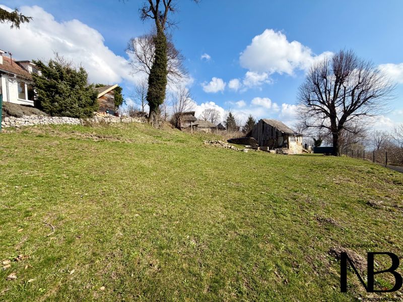Na predaj slnečný pozemok, 1066 m², rodinný dom (LV),  Lubina - Pozemky - bývanie v obci Lubina na ulici Lubina, so stromami a trávnatou plochou.