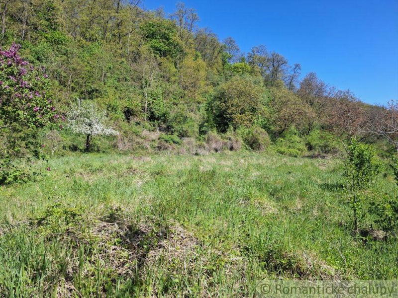 Pozemok, ktorý vám zarobí - Zeleň a stromy v Šiatorskej Bukovinke, vhodné pre Pozemky - bývanie.
